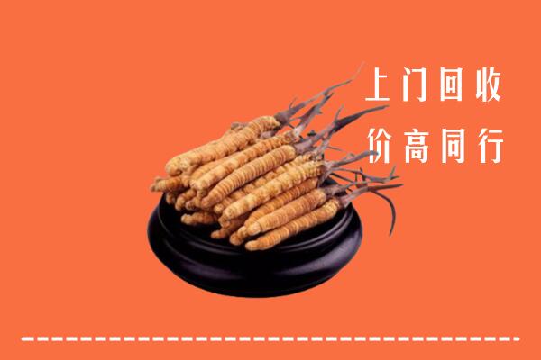 高价求购：本溪县回收散虫草