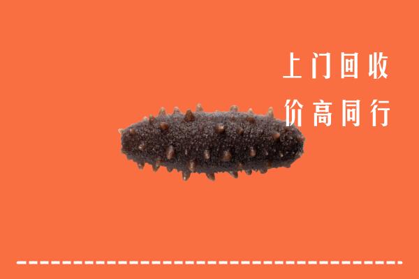 高价求购：本溪县回收海参